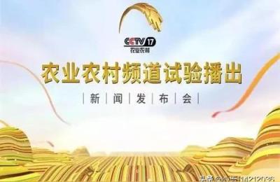 cctv所有频道,中央电视台国防军事频道呼号