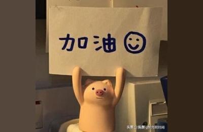 安徽省职业技术学院,安徽职业技术学院到底怎么样