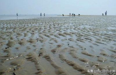 瓦房店将军石,请问从瓦房店汽车站坐车到西杨乡将军石怎么坐