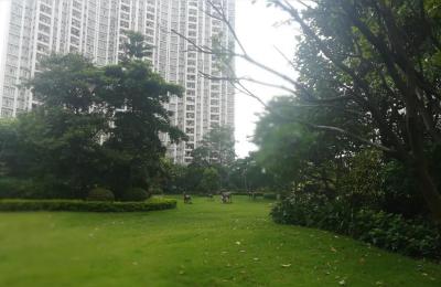 2021广州番禺买二手房条件,在番禺区有哪些二手房小区推荐