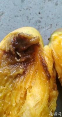 淘宝没送过货怎么投诉店铺,但是想给店铺评价怎么弄