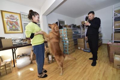 淘宝怎么显示农村淘宝店铺,请问一下一般村上有农村淘宝了