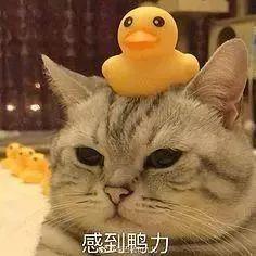 淘宝网哪里看开团提醒,淘宝卖家24小时发货怎么设置
