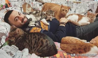 猫店好还是店群好,志同道合的群名称