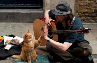 双十一淘宝歌手猫多少级,汤姆猫总动员六个角色分别叫什么