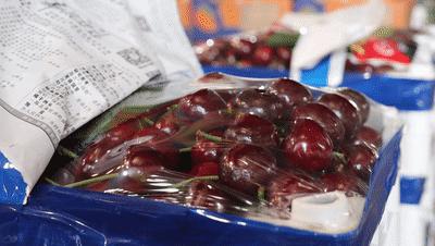 大连水果店团购群微信公众号,是你在外地吃不到的
