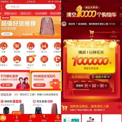 怎么查去年淘宝花了多少钱,淘宝上的猫靠谱吗
