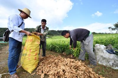 北海拼多多无货源电商,六耳猕猴的金箍棒是哪来的
