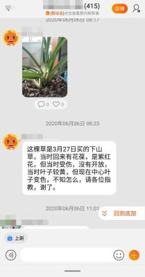 闲鱼京东物流怎么显示,为什么闲鱼很多京东直发却便宜