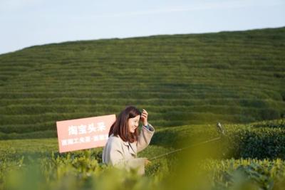 茶山哪里有学淘宝的培训,为什么街边的茶叶店几乎没什么生意