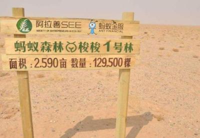 支付宝淘宝买东西多少能量,支付宝绿色能量103克是什么