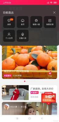 淘宝快递未审核什么意思,淘抢购的一审通过待二审是什么意思