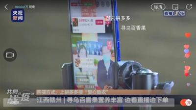 拼多多怎么算是新店,拼多多新店为什么搜不到店名