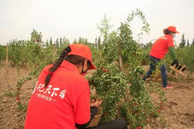 淘宝货什么比较畅销,请问开一家网店需要考虑哪些因素