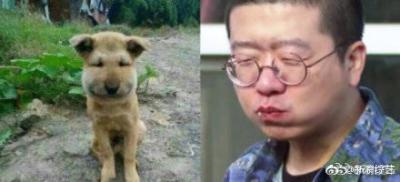 怎么发起拍卖闲鱼,闲鱼拍卖保证金怎么退回