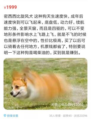 闲鱼为什么卖东西快一些,最近看到好多人在闲鱼上面买肯德基