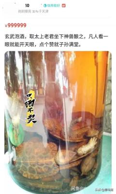 闲鱼无忧购券怎么用,菜鸟怎么切换语言