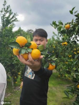 URL是什么水果推荐淘宝,吃什么水果干果蔬菜能软化血管呢