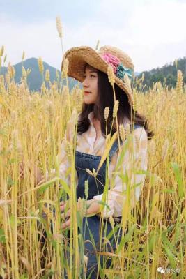 丽水哪里有淘宝培训班,农村电商到底应该怎样学