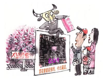 为什么闲鱼app被限制,闲鱼都不可以登录了