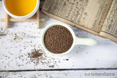 阴阳同补的单味中药,中医应该按药理配方还是按阴阳五行配伍