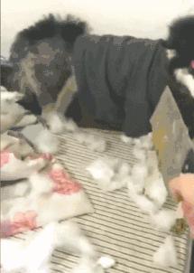 闲鱼为什么收螺蛳粉,说出你心中的正宗的美食是什么样子