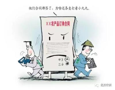 农村淘宝是什么平台,淘宝和拼多多哪个平台卖农产品相对来说比较容易