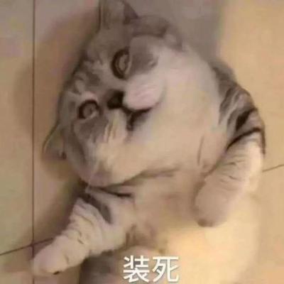 为什么闲鱼送口红,京东买的口红断了