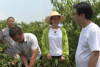 淘宝如何设置不让推销下单,如何玩好淘宝直播