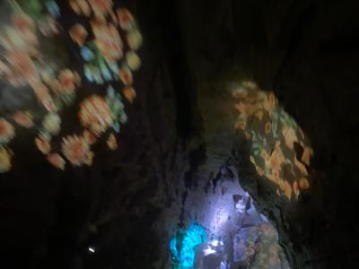 淘宝如何找到同城达人团购,抖音短视频的风口还在吗