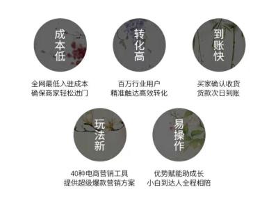 淘宝上的奇石店怎么开店,我也有很多各类奇石