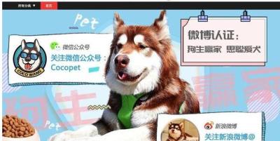 在哪里看淘宝消费等级,淘宝购物等级怎么看