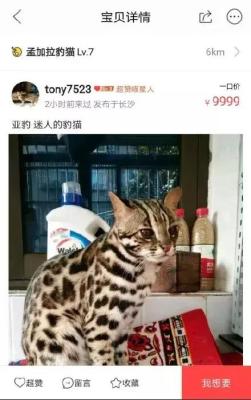 闲鱼怎么修改描述文件,怎么在闲鱼上出售东西
