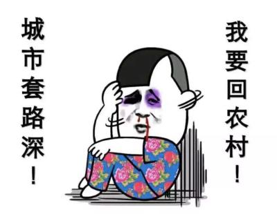淘宝后台数据哪里查看,但是我进淘宝后台完全查不到是什么要认证