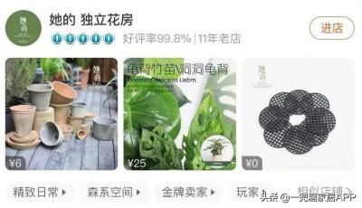 开好淘宝店关键看什么,新手做电商开淘宝网店该如何选择快递公司