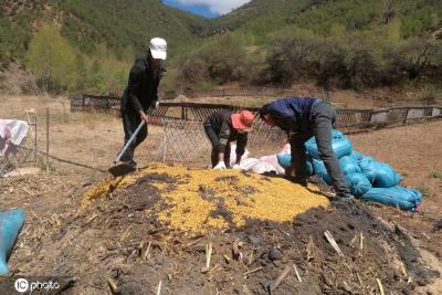 淘宝联盟发视频收益多少,淘宝卖家是如何做到一天3万左右的销售额的
