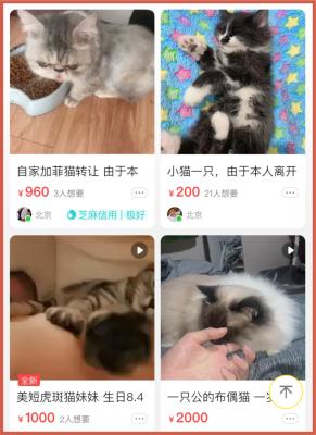 闲鱼走平台需要寄往哪里,直接转账支付宝也不卖外地咋回事