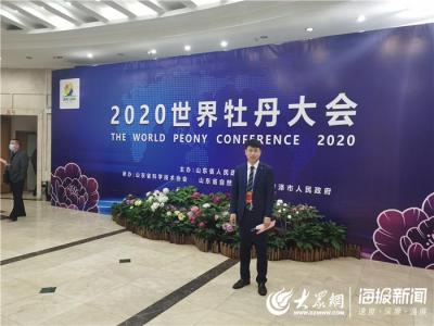 菏泽新店租房信息网站有哪些,最近网络上曹县这么火