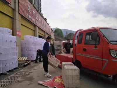 永安淘宝无货源运营技术,螺蛳粉到底好不好吃