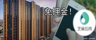 淘宝阿里的评价哪里看,怎么在淘宝评论发视频