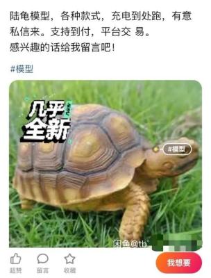 闲鱼遇到物流疫情怎么处理,在闲鱼上倒卖什么最赚钱