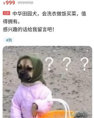 闲鱼为什么不好联系卖家呢,闲鱼作为卖家怎么寄快递