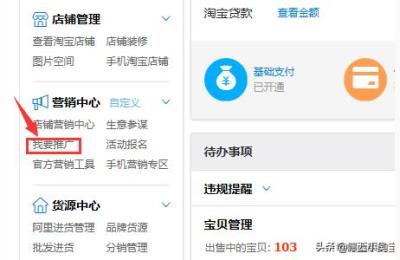 淘宝产品新客在哪里看,淘宝店铺能看到新客旧客吗