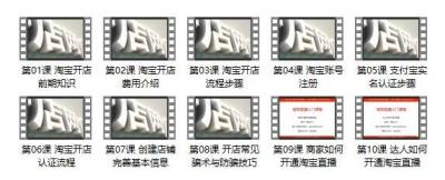 淘宝店铺费计入什么科目,关于淘宝店铺VIP的问题