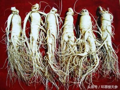 淘宝上的人参多少元,在淘宝网上可以买到北京同仁堂的药吗