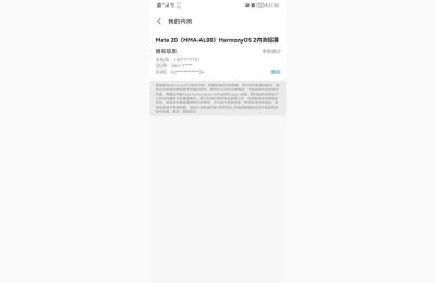 淘宝怎么搜索vpn,已经升级鸿蒙的朋友