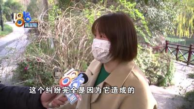 淘宝菜鸟裹裹客服怎么做,菜鸟怎么联系人工服务