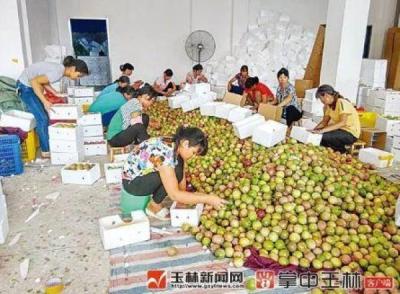 玉林哪里有淘宝拍照,玉林女高中生校园慢跑猝死