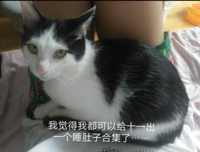 闲鱼卖猫为什么便宜很多,闲鱼可以付款买猫吗