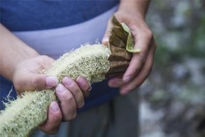 淘宝贷款怎么使用千牛手机上申请贷款,额度查询方法